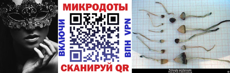 Галлюциногенные грибы мухоморы  где можно купить   Вилюйск 